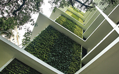 Screenshot 2025-05-17 at 11.53.08 AM